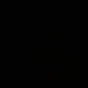 Meet your Posher, Max